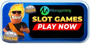 Micro Gaming